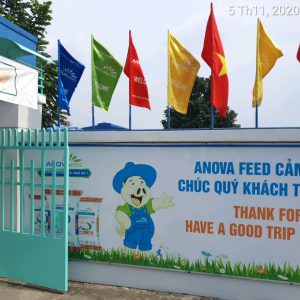 Cờ Phướn Nhiều Màu